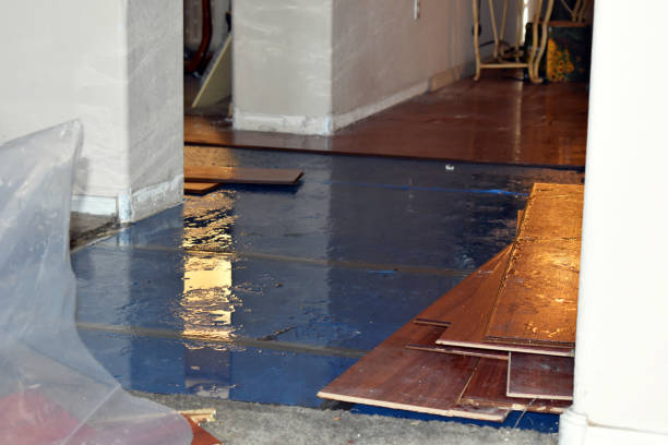 Professional Water Damage Repair technician working in Quebeck, TN